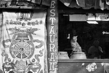 Zwiedził Nepal. Zdjęcia z jego wyprawy będą prezentowane na wystawie