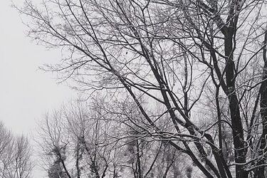 Pogoda na weekend. Spodziewane są słabe opady deszczu