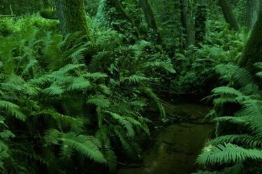 Podlaskie zachwyca. Zanurz się w jego obrazach i dźwiękach