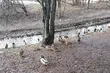 11 lutego termometry pokażą kilka kresek powyżej zera