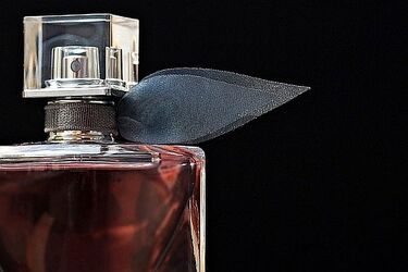 Kradli perfumy i sprzęt elektroniczny. Usłyszeli zarzuty
