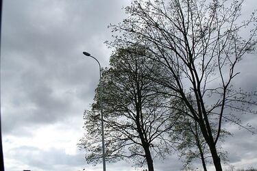 Czeka nas spadek temperatury. Możliwe słabe opady śniegu