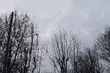 Pogoda na ostatni poniedziałek lutego
