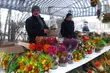 Kultura na weekend. Gdzie spędzić ostatnie dni karnawału? [WIDEO]
