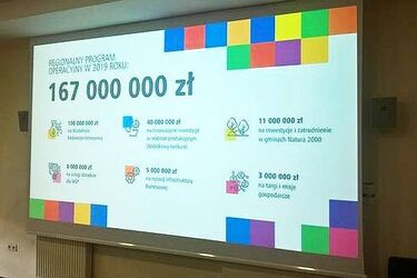 Niemal 170 milionów dla podlaskich firm na innowacje i nie tylko