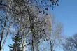 Najpierw słońce, potem deszcz