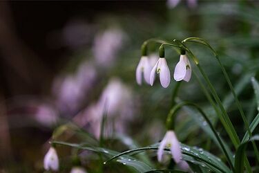 Pochmurnie z okresowymi przejaśnieniami. Pogoda na 19 marca
