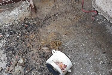 Jest podejrzany o znęcanie się nad psem. Trafił do aresztu