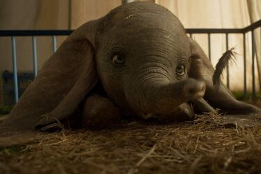 "Dumbo". Film Tima Burtona w kinach [WIDEO]