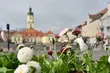 W Białymstoku już wiosennie i kolorowo