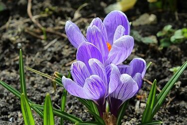 Pogoda na 2 kwietnia. Dzień zapowiada się pogodnie