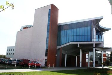 Przyjadą m.in. z Azerbejdżanu, Brazylii i Chin. Co będą u nas robić?