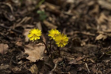 Słońce i wiatr. Pogoda na 4 kwietnia