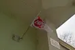Nauczyciele strajkują. Jak to wygląda w białostockich szkołach? 