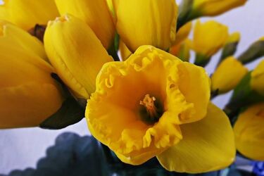 Kwesta, przejazd zabytkowym ogórkiem czy gorąca czekolada. Zbliżają się Pola Nadziei