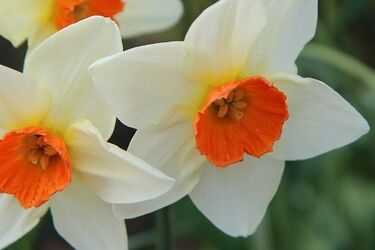 Pogodny początek tygodnia