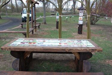 Sad owocowy wzrasta w białostockim parku