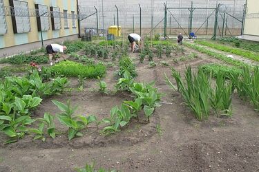 Ogrody za kratami. Forma readaptacji w zakładzie karnym 