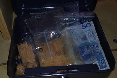 Obracał znaczną ilością narkotyków. Wpadł w ręce policji