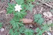 Pogodny wtorek w stolicy Podlasia