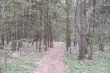 Ciepła, ale wietrzna środa 