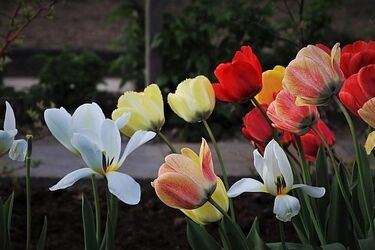 Połowa maja za nami. Jaka pogoda czeka nas w środę?