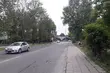 Rzeź drzew w kolejnym miejscu. Zastąpią je ekrany akustyczne
