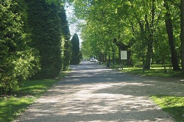 Jaka pogoda czeka nas 23 maja?