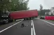 Śmiertelny zderzenie. Nie żyje kierowca forda