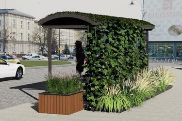 Nowa zielona inicjatywa miasta. Przyjemniej będzie się czekało na autobus