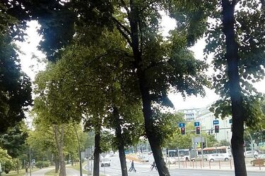 Idą przejaśnienia. 30 maja z większą ilością promieni słonecznych