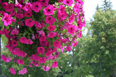 Przed nami pogodny czerwcowy weekend 