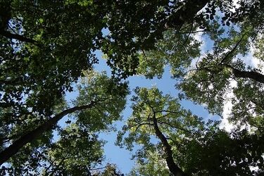 Ciało mężczyzny wydobyto ze stawu w białostockim parku