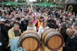 Kolejne urodziny Żubra. Białystok będzie świętował