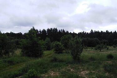 Gorąca środa w mieście 