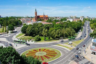 Będzie kolorowo i pachnąco. Białystok zmienia kwiatową szatę