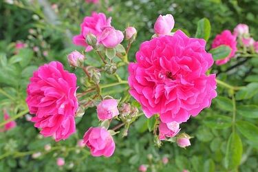 Pogoda na czwarty weekend czerwca