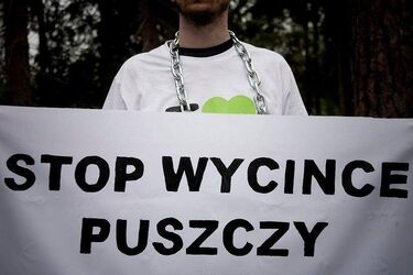 UNESCO jednoznacznie za ochroną Puszczy Białowieskiej