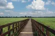 Kładka Śliwno-Waniewo znowu została zamknięta