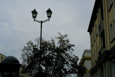 Jaka będzie pogoda w pierwszy weekend lipca?