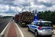 Przewoził źle zabezpieczone drzewo. Na sumieniu miał coś jeszcze