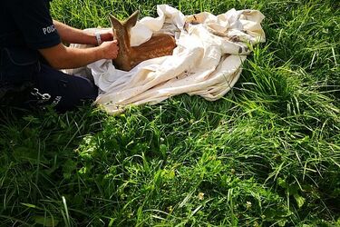 Nietypowa interwencja. Utknęła i nie mogła wydostać się na zewnątrz