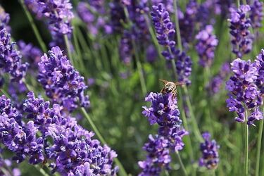 Pogoda na trzeci weekend lipca. Trochę chmur, trochę słońca