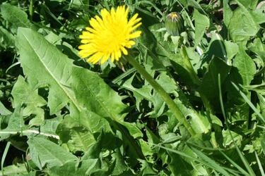 Weekend będzie ciepły, ale może też trochę popadać