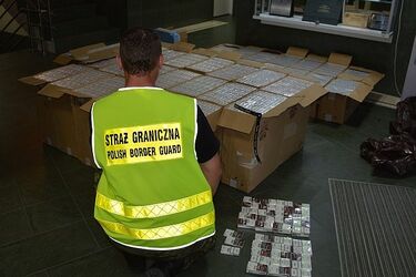 Auto naszpikowane nielegalnym tytoniem. Zabezpieczono papierosy za blisko 270 tys. zł 