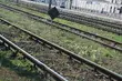Ważna informacja dla podróżujących pociągami. Na niektórych trasach będą utrudnienia
