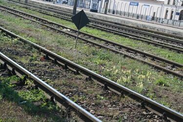 Ważna informacja dla podróżujących pociągami. Na niektórych trasach będą utrudnienia