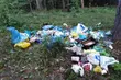 Zostawił śmieci w lesie, a teraz za to słono zapłacił