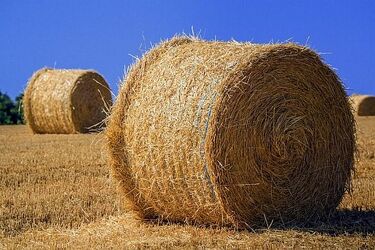 Tragiczny wypadek koło Łomży. Mężczyznę przygniotła bela siana