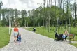 Na Bacieczkach wybudują amfiteatr